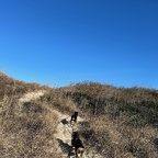 Wanderweg durch die Duenen.