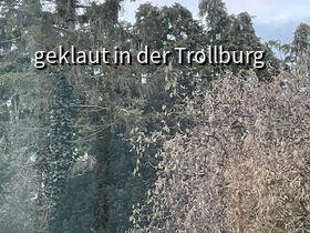 Hoch oben im Miniwald...