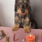 Hannes und seine Geschenke