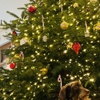 Ja, ist denn schon Weihnachten …?