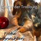 Frohe Weihnachten