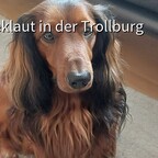 Feldmann (Lo Muto's Graziano)