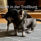 Draußen ist‘s heiß, rennen wir eben drinnen.