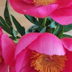 20260522_145132