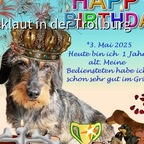 Hannes hat Geburtstag