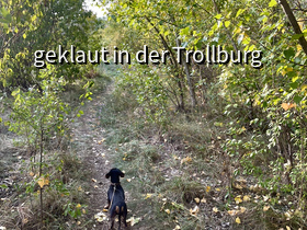 Begeisterung bei Urmeli