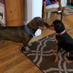 Die erste Begegnung...........