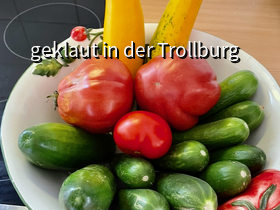 Gerade geerntet - frischer geht nicht