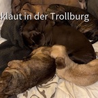 fa882fbf-3764-4fb4-bb21-e869efa0a791