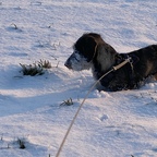 Der Alterungsprozess schreitet voran. Hannes hat schon einen weißen Bart.