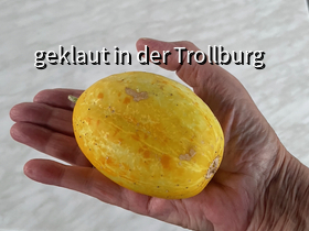 die Zitronengurke ist wirklich eine Gurke