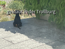 Urmeli findet diesen Platz optimal