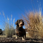 In "gehobener" Position.