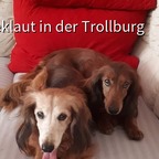 Fee und Günni