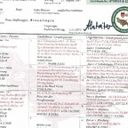 Jamie´s Ahnentafel Gergweis