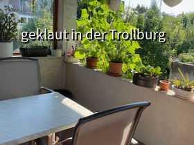 Der Gurkenvorhang