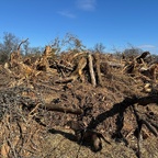 Abenteuerspielplatz fuer ambitionierte Dackel.